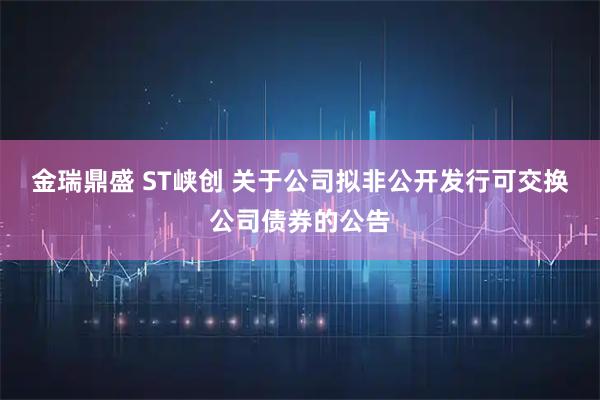 金瑞鼎盛 ST峡创 关于公司拟非公开发行可交换公司债券的公告